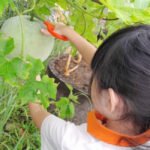 Green Fingers Project
