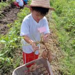 Green Fingers Project
